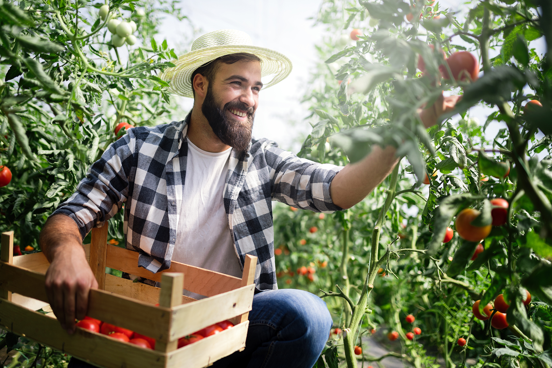 uomo agricoltore biologico