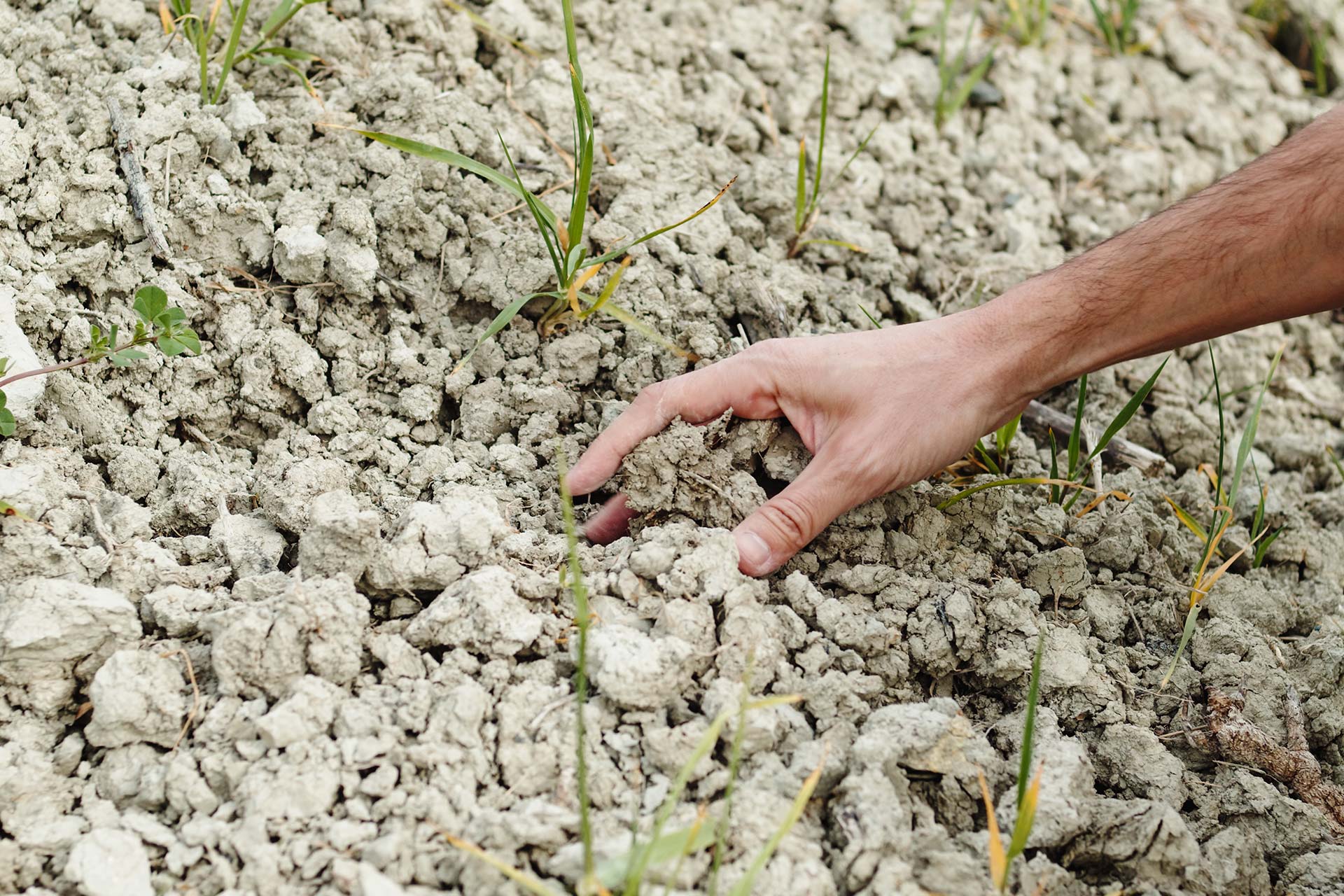 cambiamento climatico