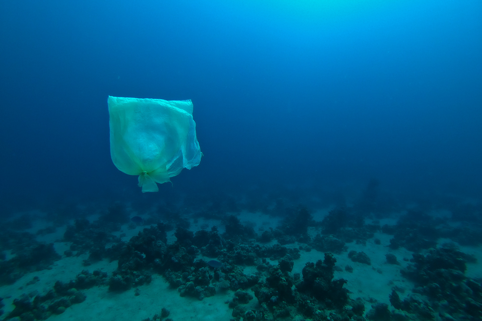 mare con plastica legge salvamare