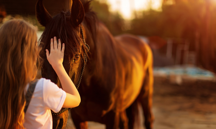 ragazza con cavallo