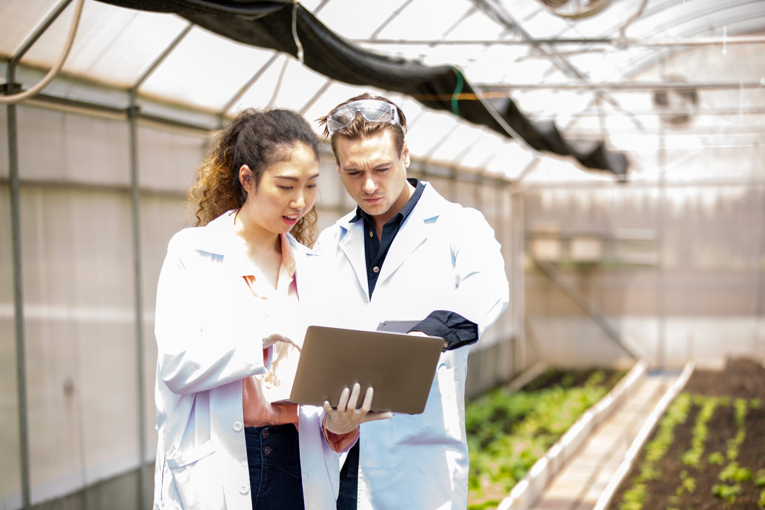 due persone studiano biotecnologie