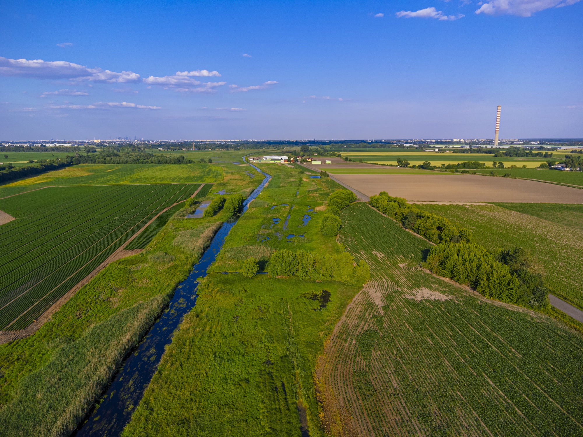 fiume agricoltura per carne bovina