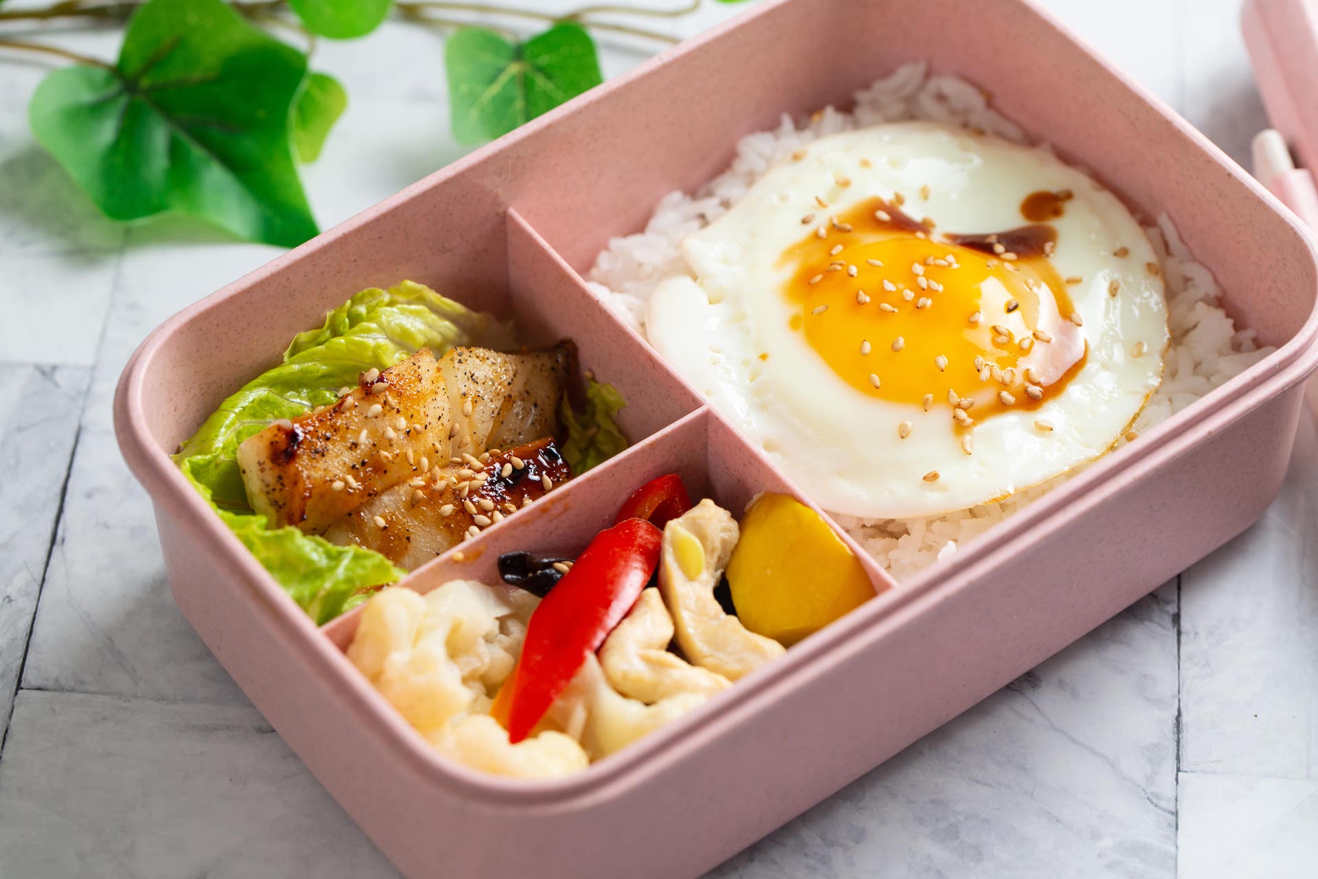 bento giapponese per cibo e festività Hanami