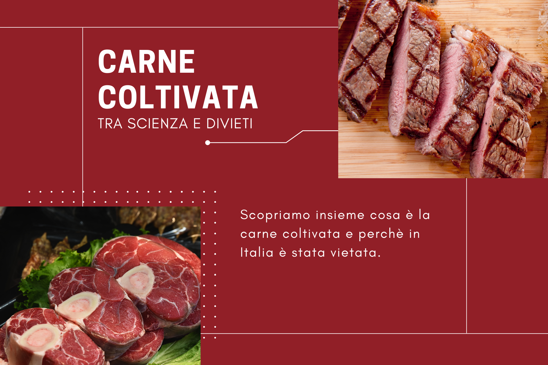 carne coltivata copertina