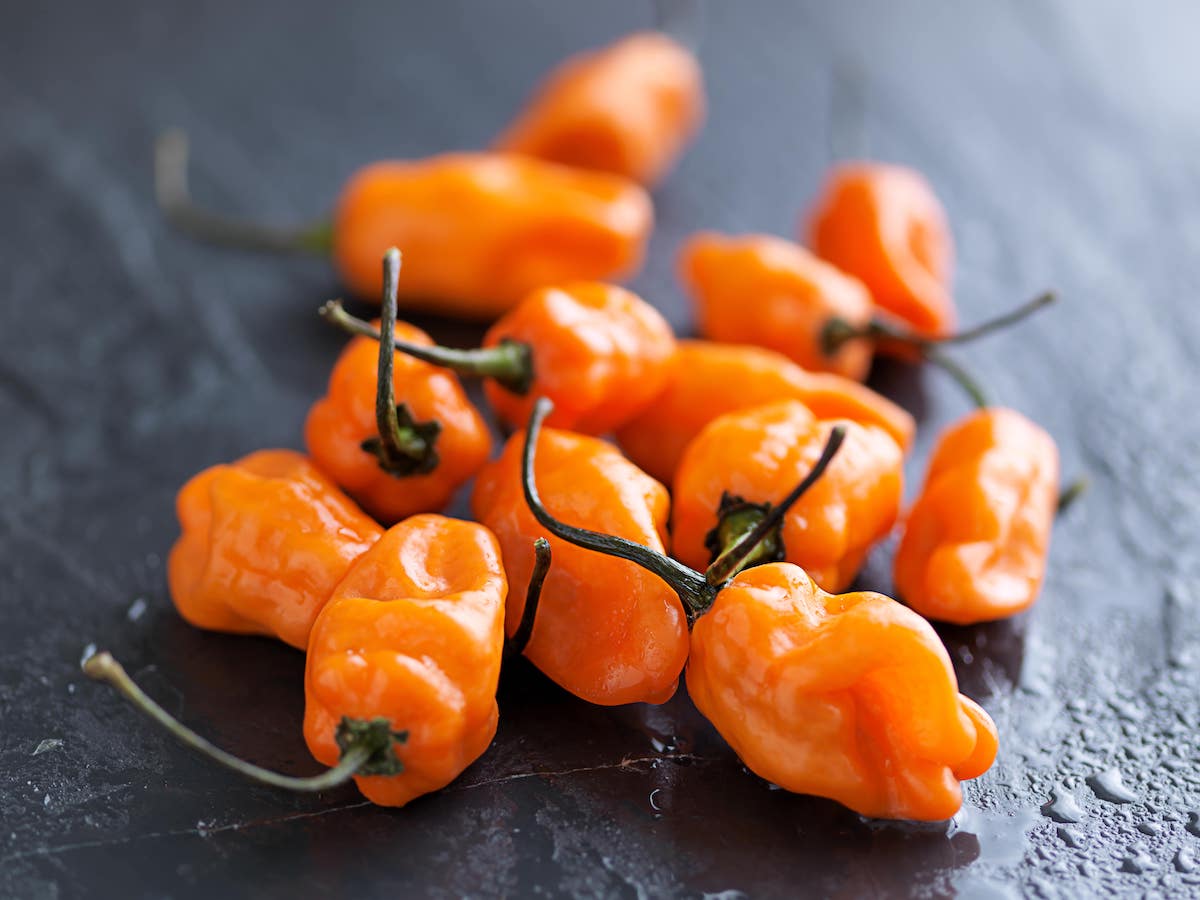 habanero tra gli ingredienti esotici