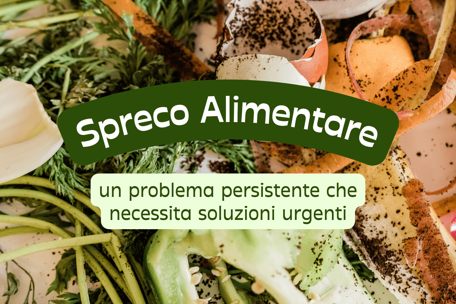 spreco alimentare 2024