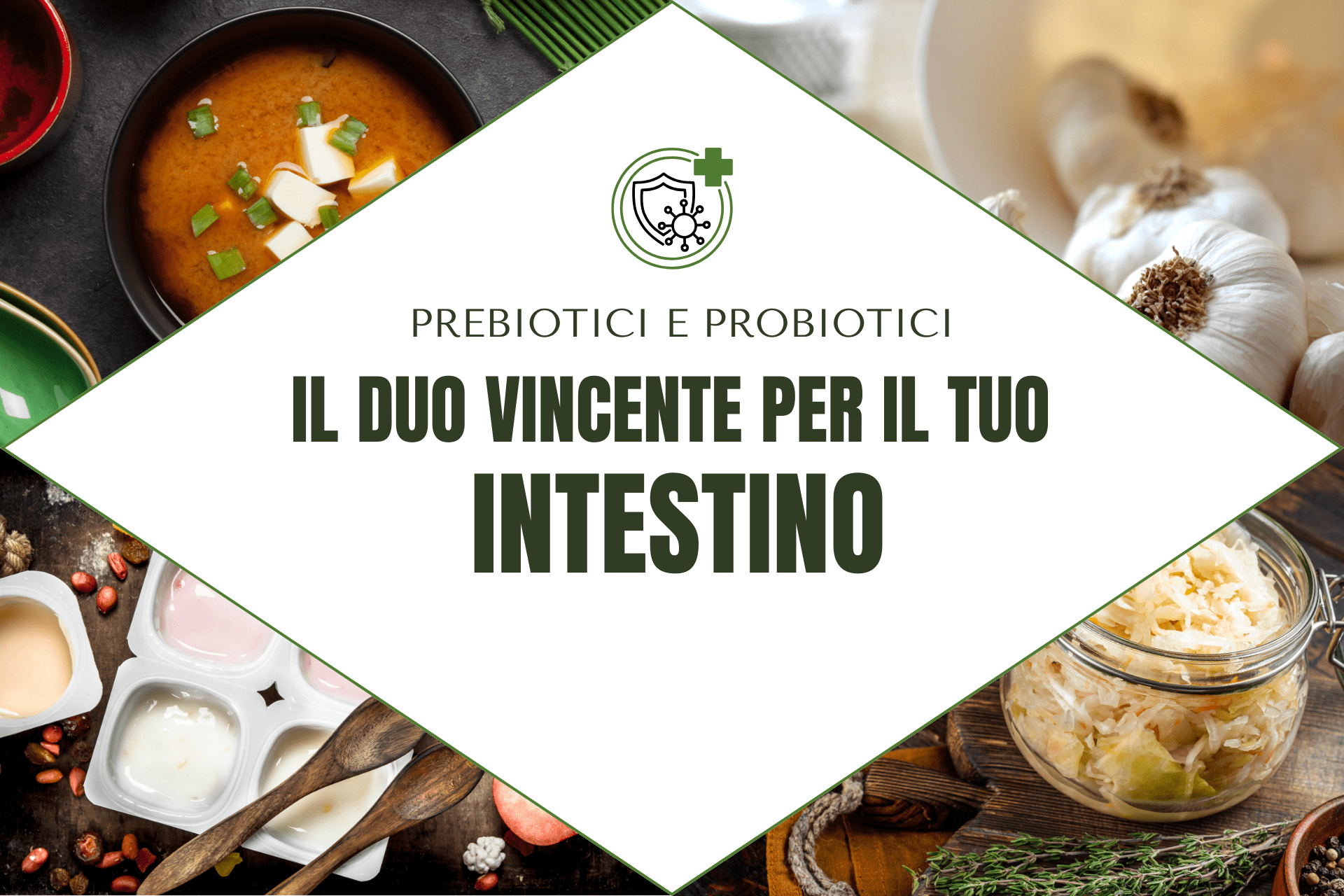 Alimenti Prebiotici e Probiotici